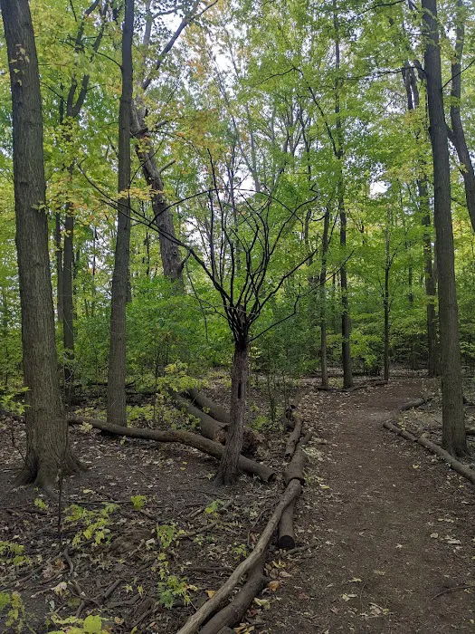 Mark Twain Dog Park-membership 4