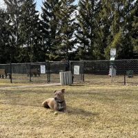 Grosse Pointe Shores Dog Park ico