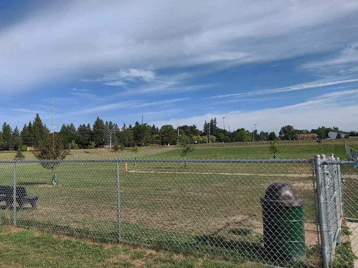 Daisy Knight Dog Park 1