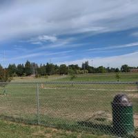 Daisy Knight Dog Park ico