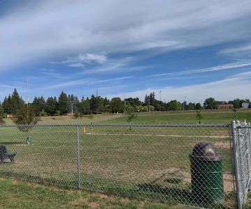 Daisy Knight Dog Park