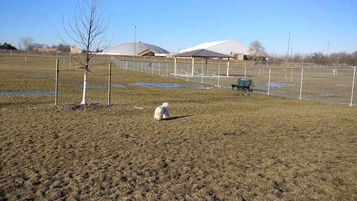 Daisy Knight Dog Park 2