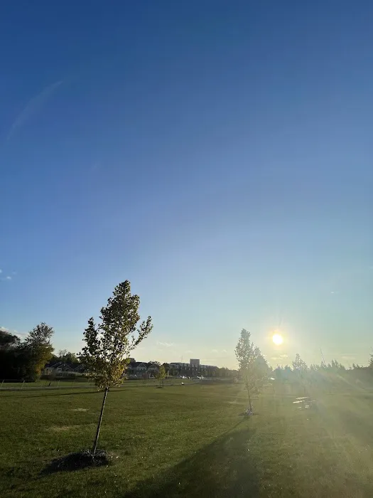 Daisy Knight Dog Park 4