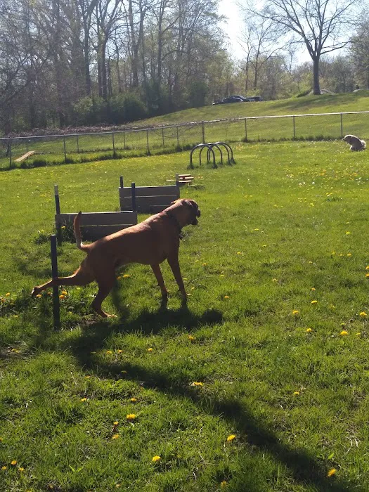 Wayne County Dog Park 9