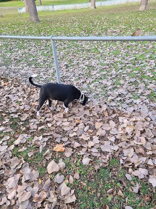 Wayne County Dog Park 7
