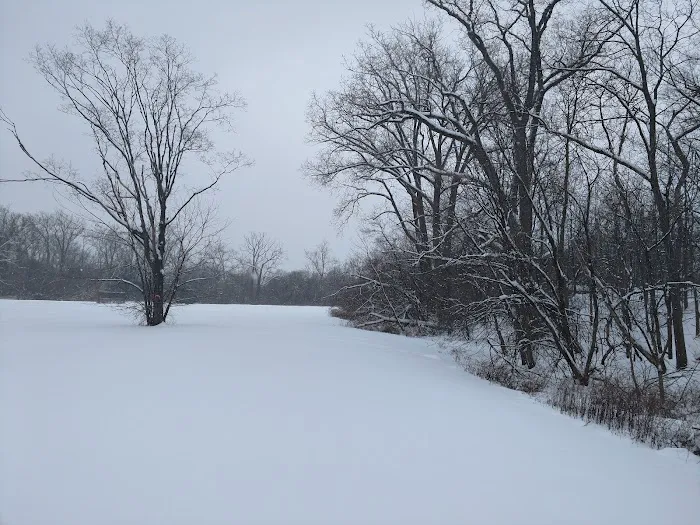 Wayne County Dog Park 5