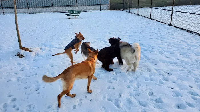 Wyandotte Dog Park 10