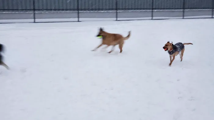 Wyandotte Dog Park 5