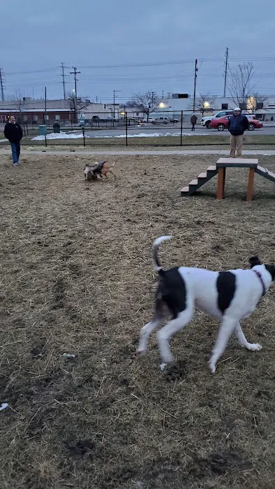 Wyandotte Dog Park 3