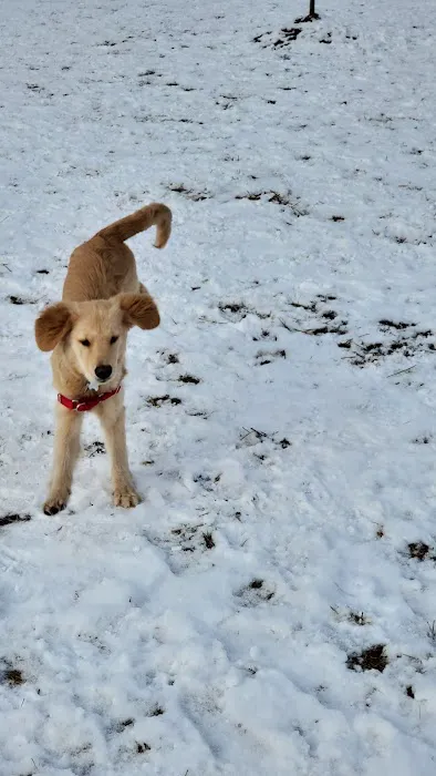 Wyandotte Dog Park 2