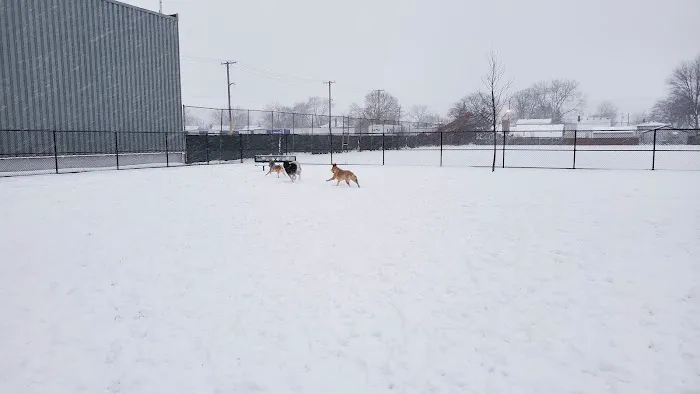 Wyandotte Dog Park 7