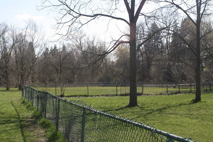 Old Hines Park Dog Park 7