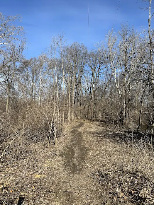 Old Hines Park Dog Park 6
