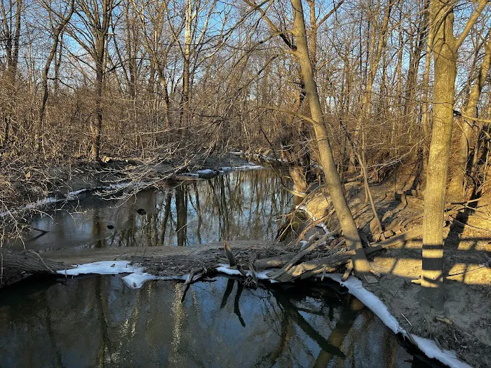 Old Hines Park Dog Park 4