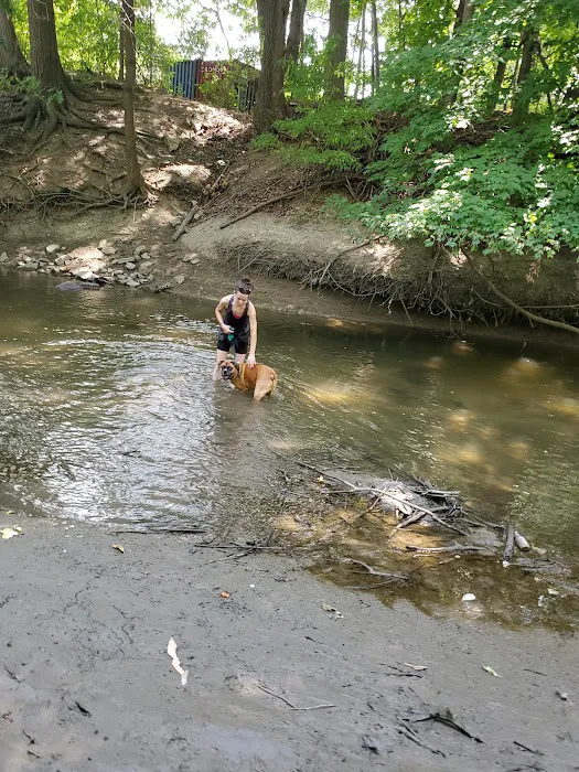 Old Hines Park Dog Park 5
