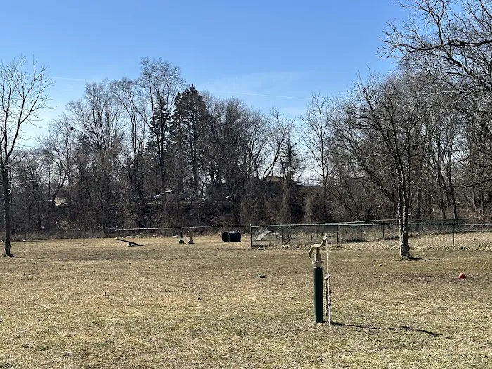 Old Hines Park Dog Park 3