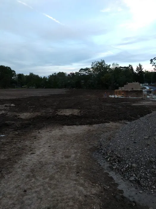 Pioneer Dog Park 4