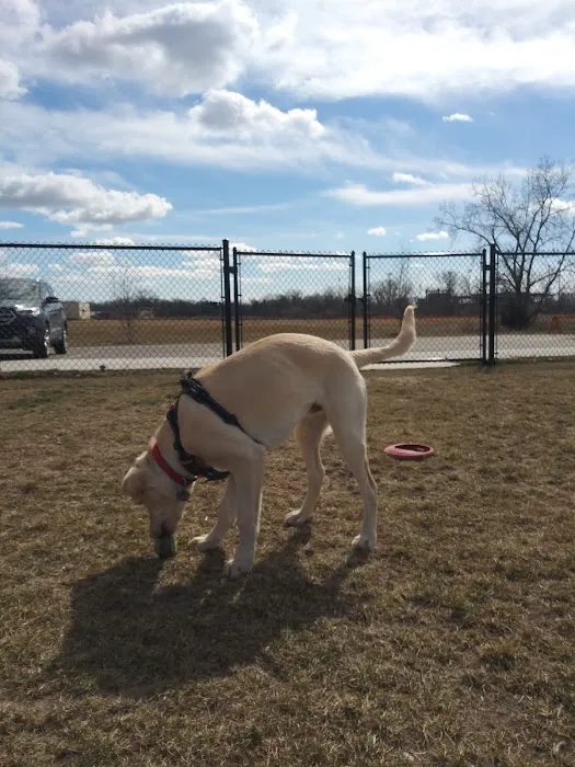 Pioneer Dog Park 6