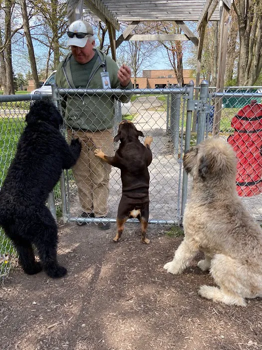 Civic Center Park-Dog Park 10