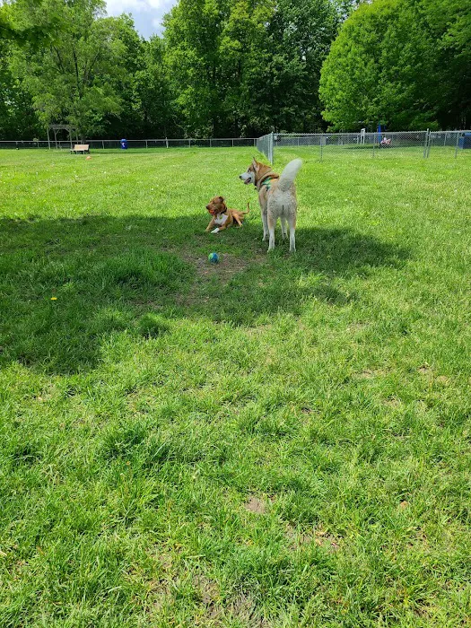 Civic Center Park-Dog Park 8