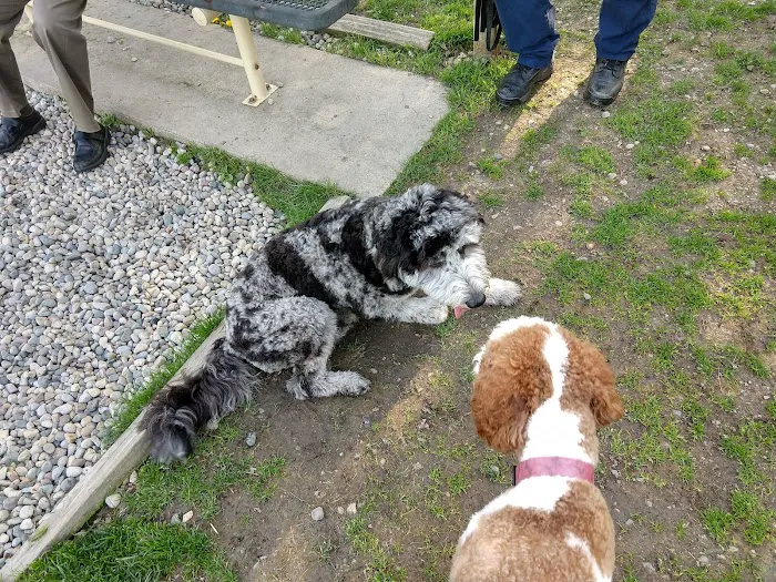 Civic Center Park-Dog Park 1