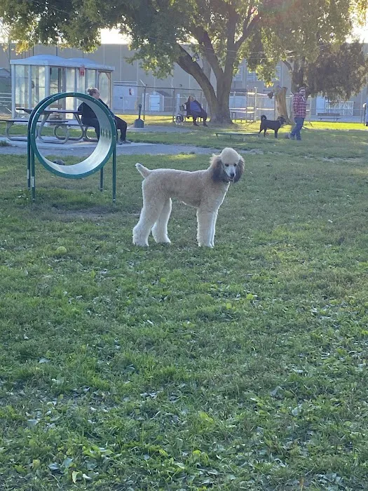 Behnke Memorial Dog Park 4