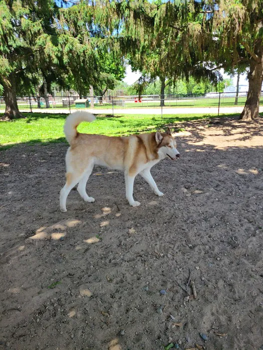Behnke Memorial Dog Park 10