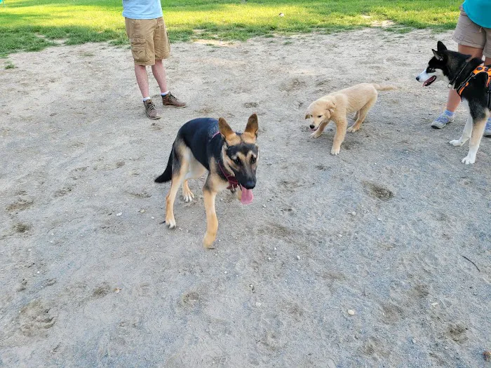 Behnke Memorial Dog Park 9