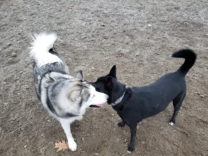 Behnke Memorial Dog Park 8