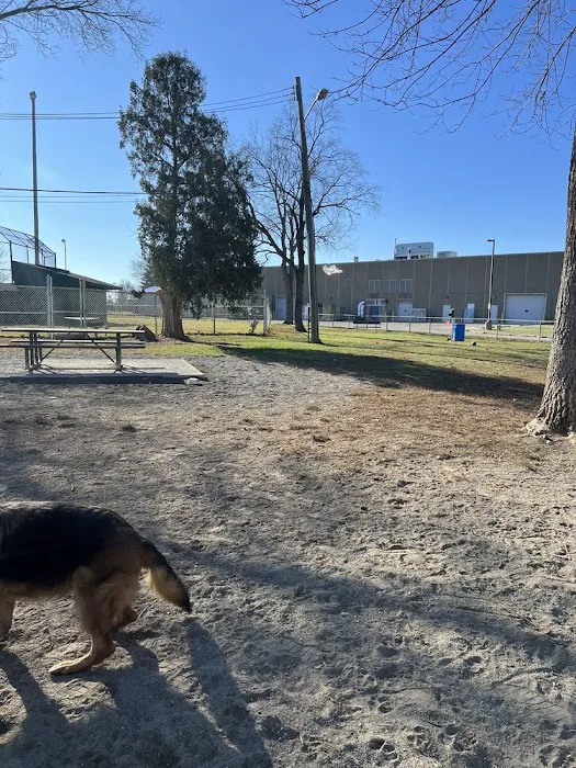 Behnke Memorial Dog Park 6