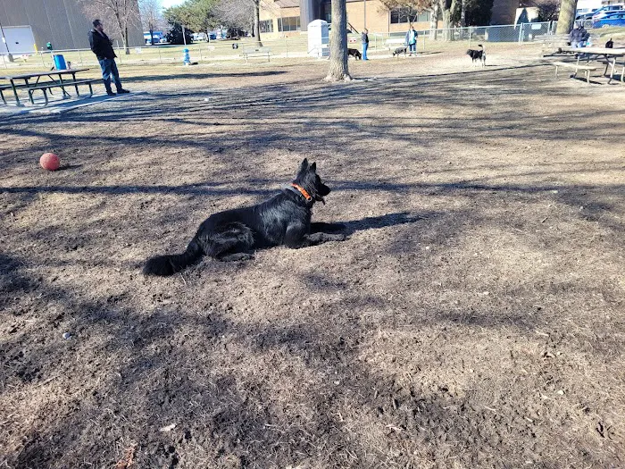 Behnke Memorial Dog Park 5