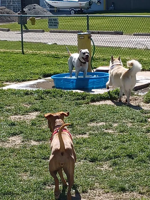 Behnke Memorial Dog Park 3