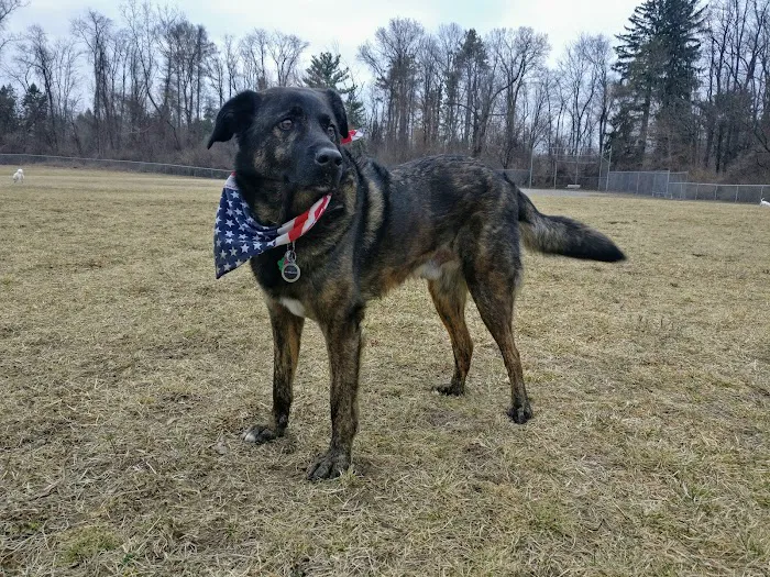 William Grace Dog Park 8