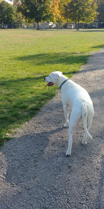 William Grace Dog Park 5