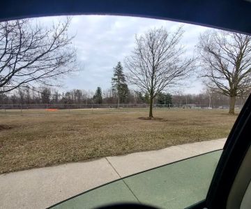 William Grace Dog Park