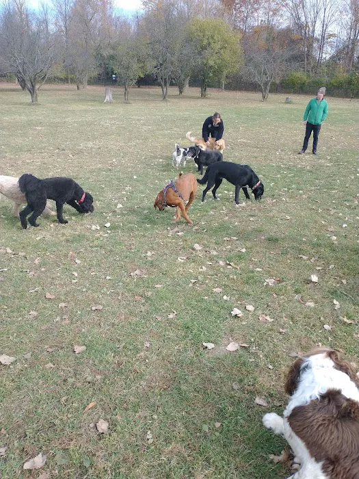 Northville Dog Park 2