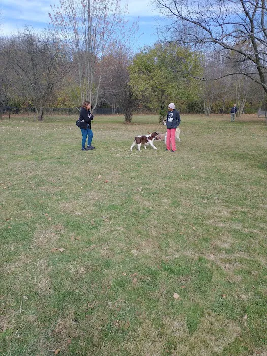 Northville Dog Park 5