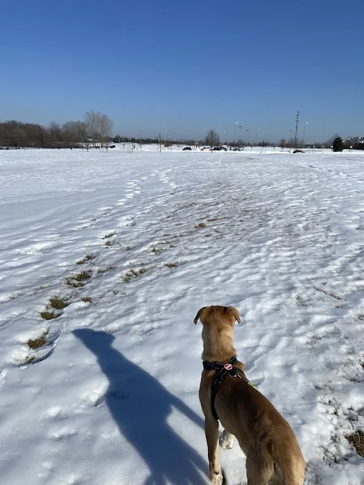 Northville Dog Park 8