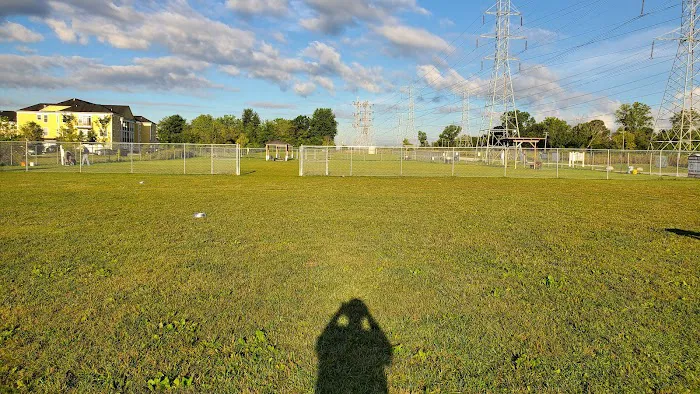 Canton Dog Park 5