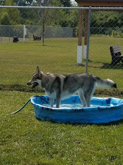 Canton Dog Park 6