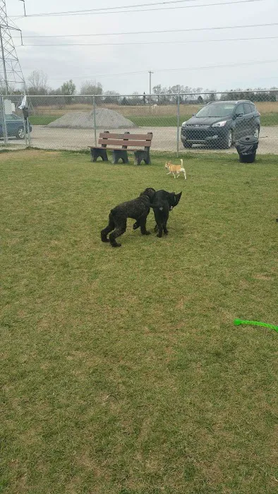 Canton Dog Park 10