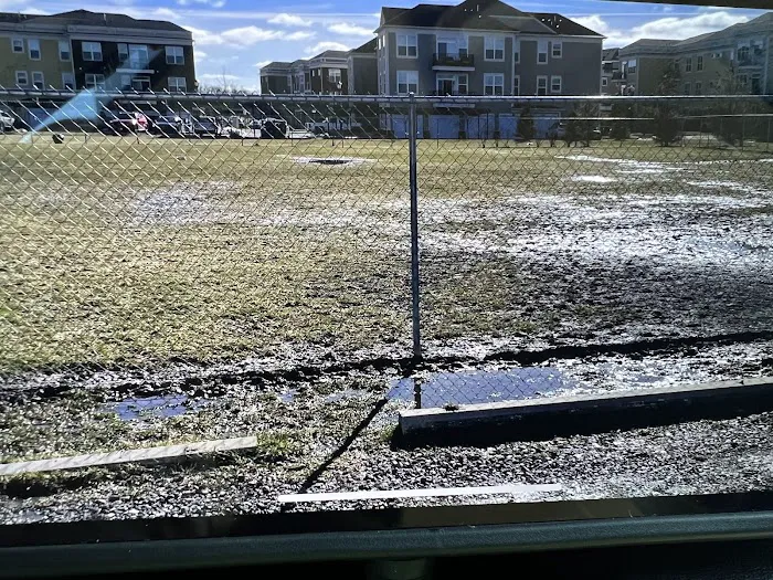 Canton Dog Park 1