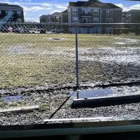 Canton Dog Park ico