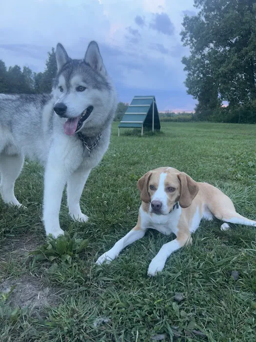 Oakbrook Dog Park 3