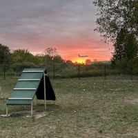 Oakbrook Dog Park ico