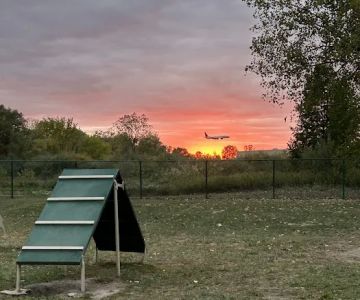 Oakbrook Dog Park