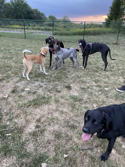 Oakbrook Dog Park 2