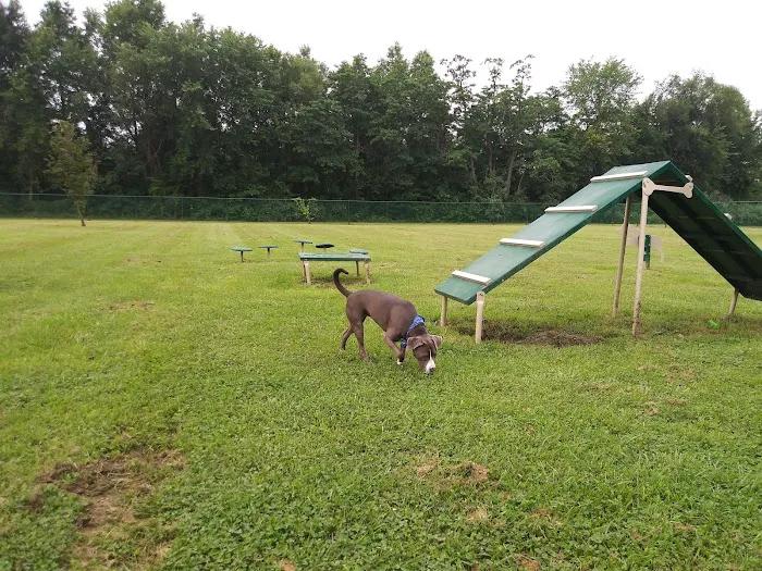 Oakbrook Dog Park 7