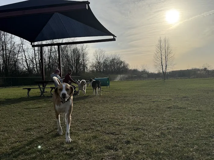 Oakbrook Dog Park 5
