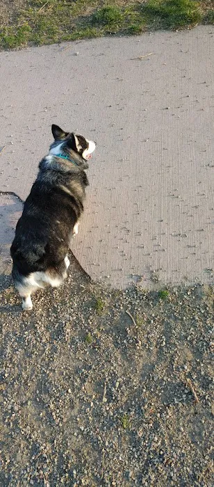 Brownstown Dog Park 10